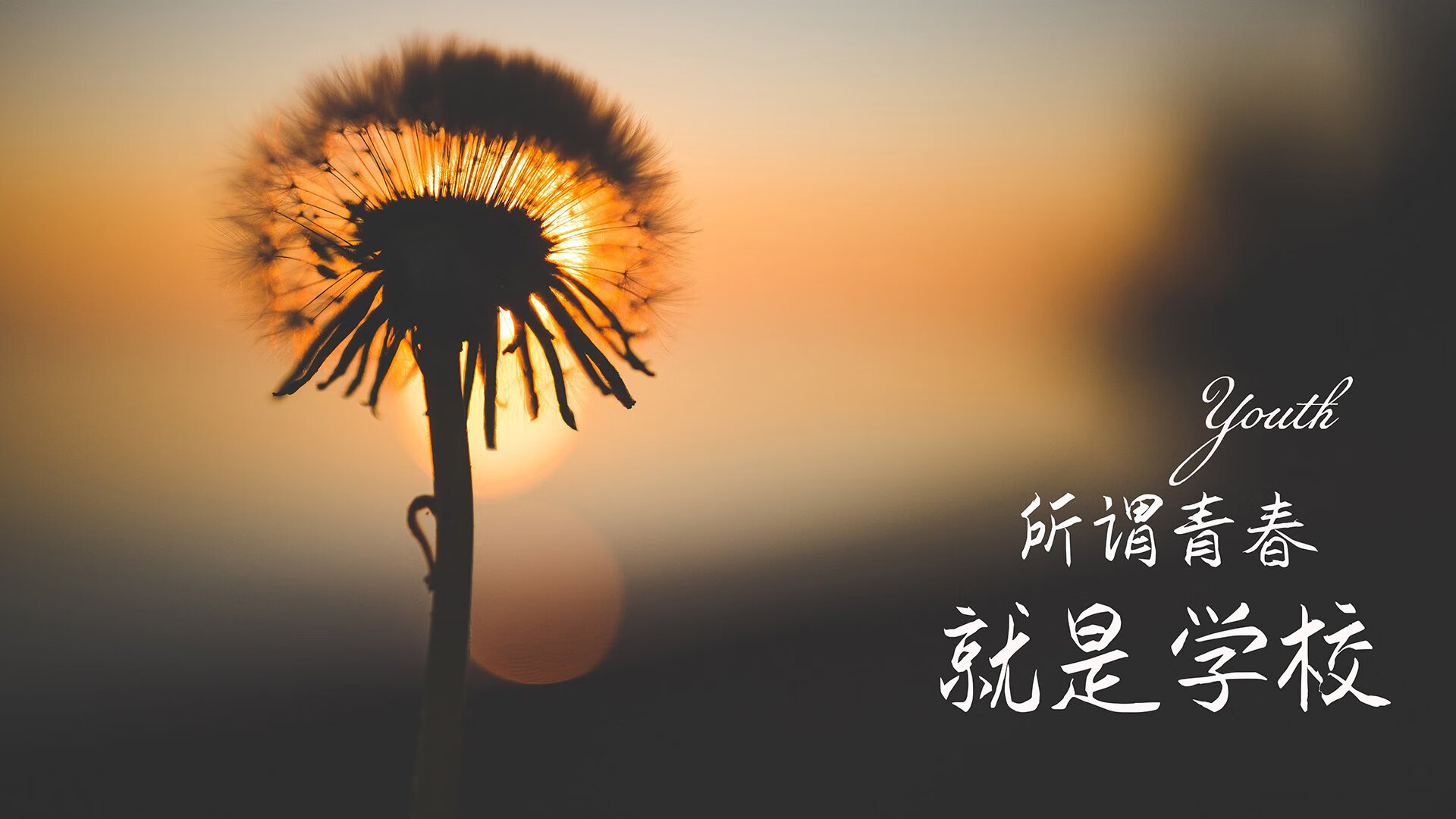 KAIYUNAPP-_篮网最新战术奏效，强势夺取胜利_，篮网战术分析