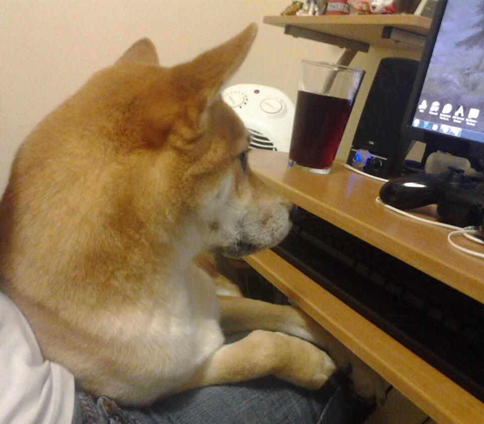 关键时机：险中求胜的绝佳战术安排，何为关键时刻