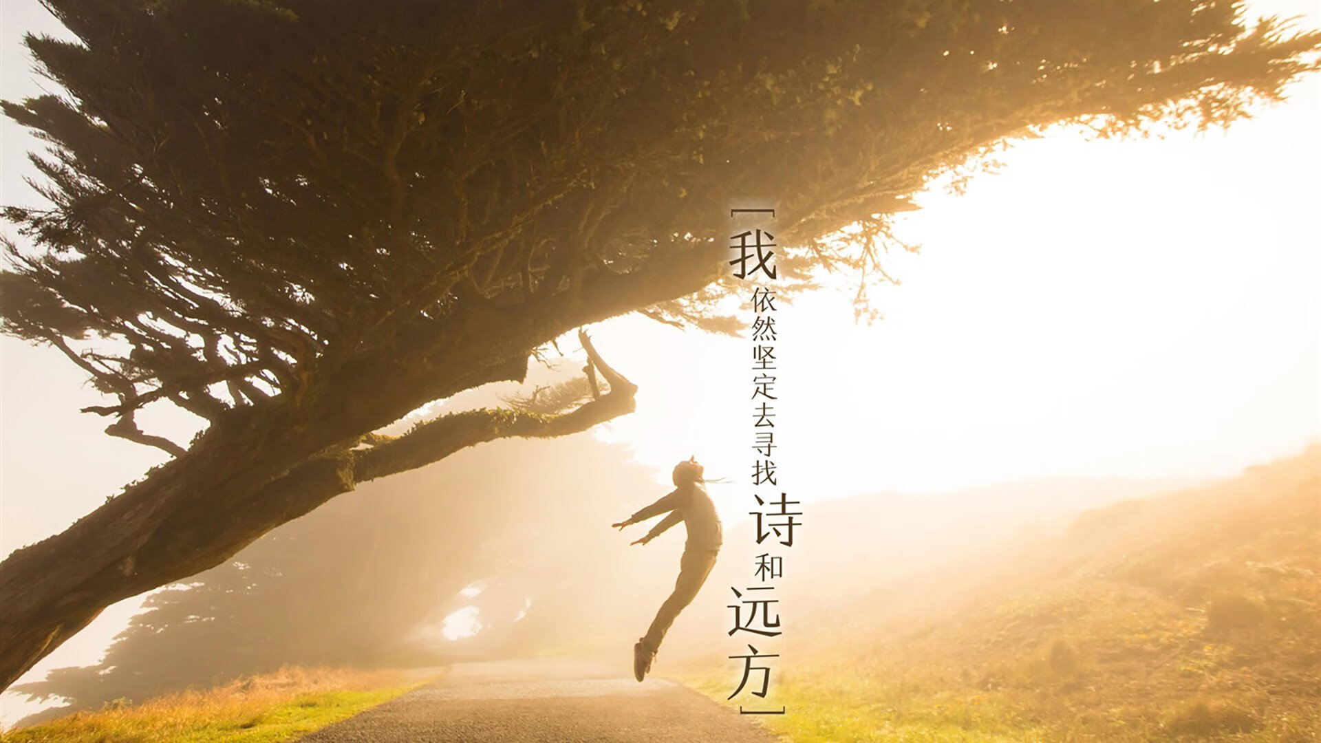 开云网页版登录入口-川崎前锋锋线表现活跃，川崎前锋水平