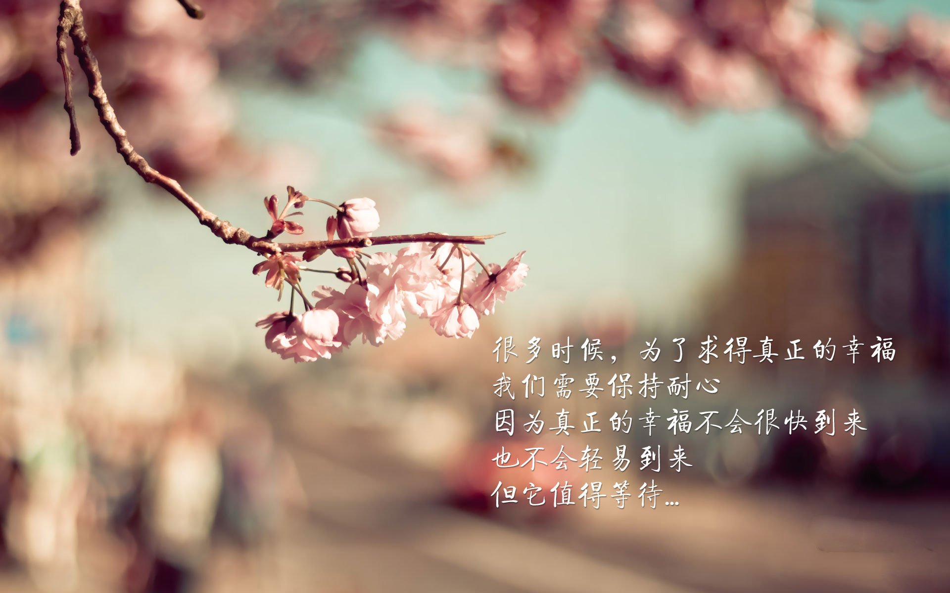 中超联赛中国女足战平 球迷情绪复杂多变，2021中超俱乐部女足联赛