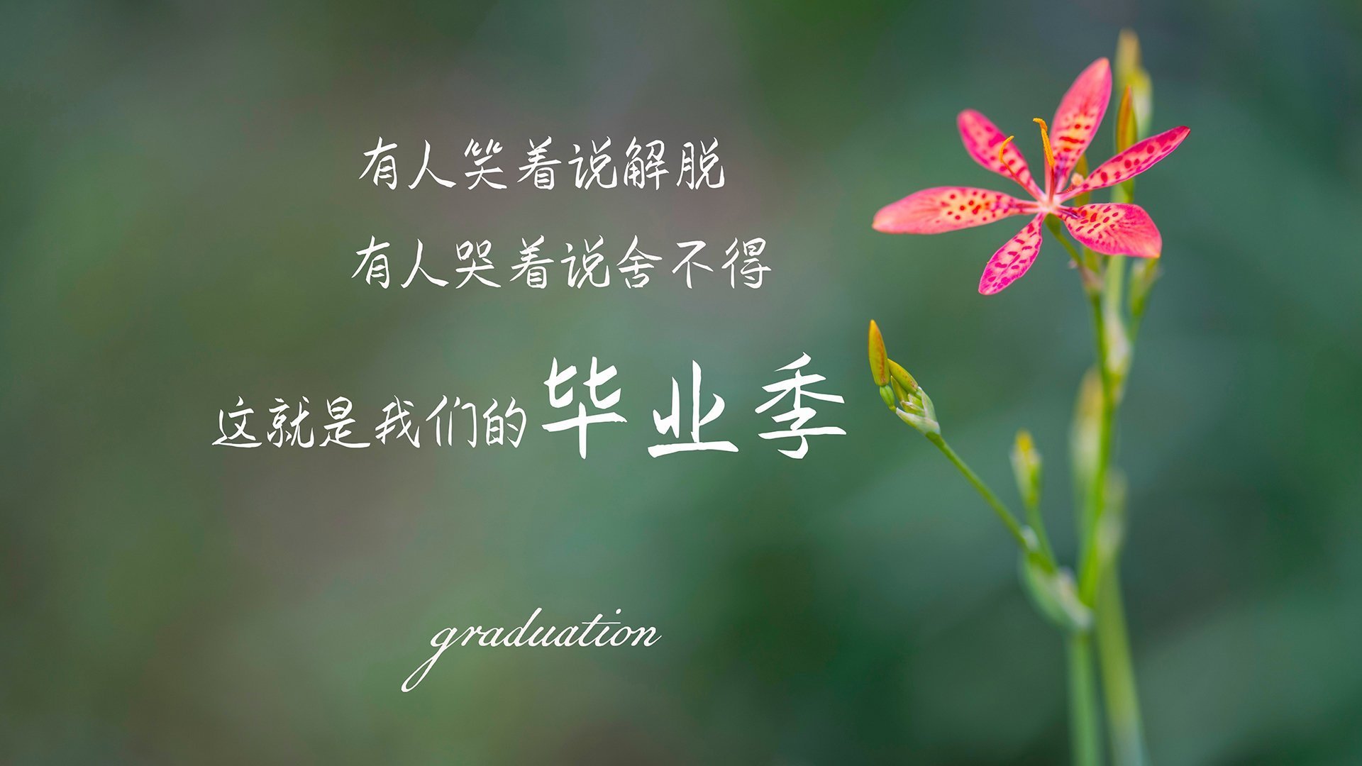 kaiyun登录入口-新加坡队未来的发展战略：如何通过合理人员配置提升整体实力，新加坡现役