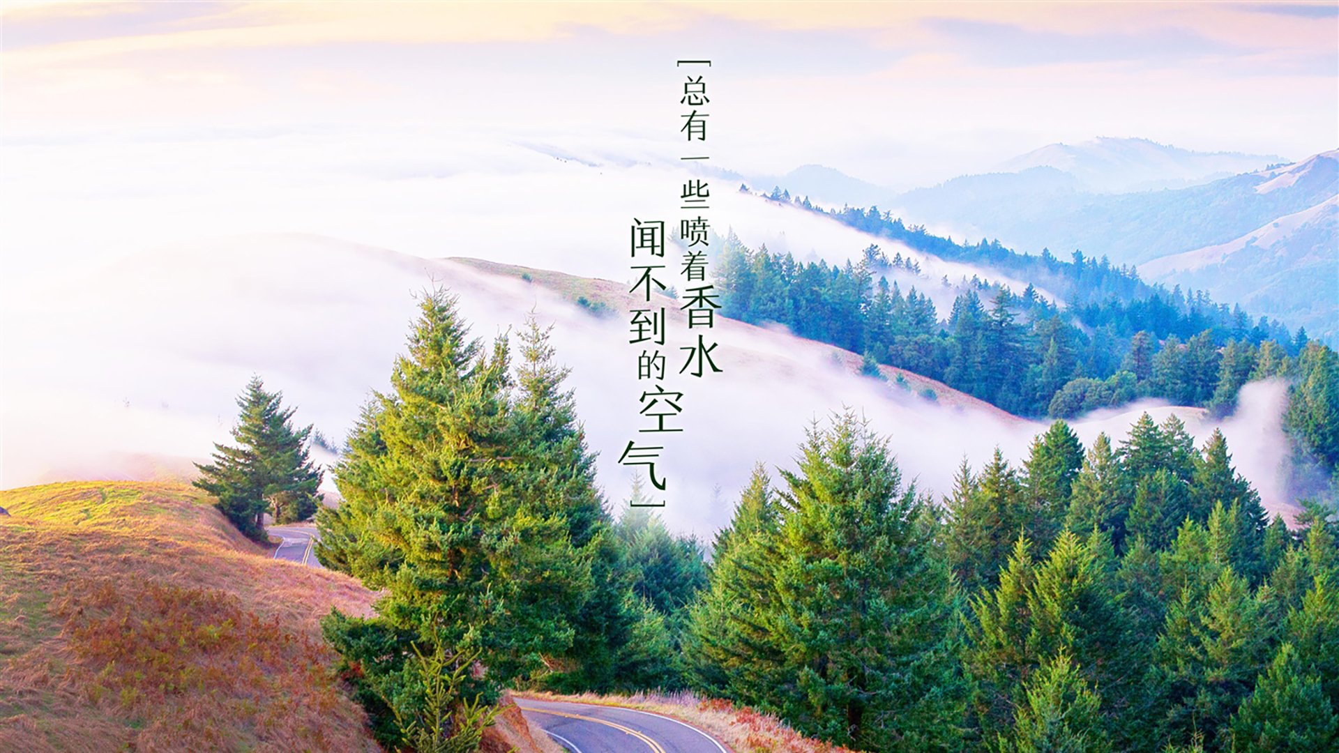 青训机构引导球员制作成长手册记录技术演进过程，足球青训球员培养协议