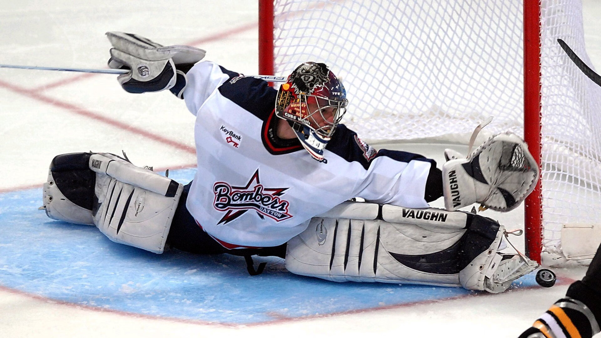 荷兰马术协会举办国际马术科技大会，推动行业技术交流与合作。